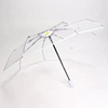 Transparent umbrella female folding is like a summer flower white goddess net red umbrella Mori creative student fully automatic transparent umbrella
