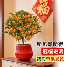 �ļ���ۘ�������Ԏ����l؛����k���҃ȿ͏d�����辰��ؔ��ֲ��