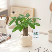 A�lؔ��С�����҃ȾGֲ�k���҃ȿ͏d������ֲؔ������՚��ļ���D