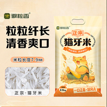 ���溣���ס������L����z���״���