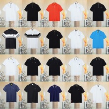 ��Ʒ�| �ͼ� �H�ҹż�ᘿ�POLO�� 2026�¿���ĸ�Ứ�̽����ɶ���T