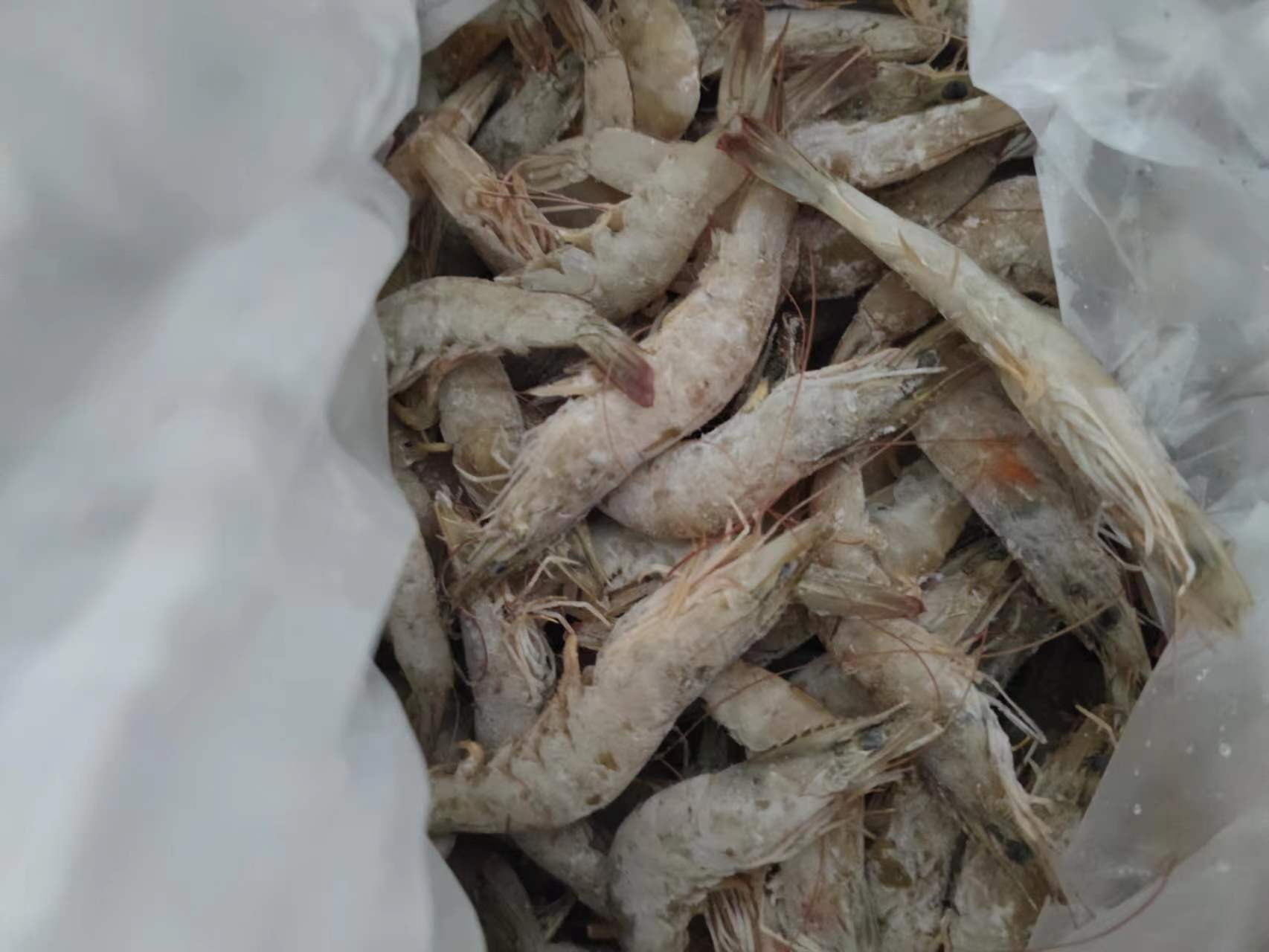 微信圖片_202208101542132