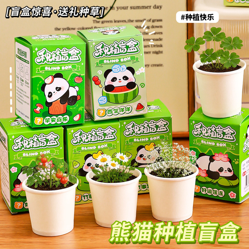 Cartoon Panda Fun Planting Blind Box Seed Paper Cup Flower Pot DIY Desktop Mini Plant Observation Potted Plant Wholesale Cartoon Panda Fun Planting Blind Box Seed Paper Cup Flower Pot DIY Desktop Mini Plant Observation Potted Plant Wholesale