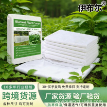 �羳�����o�����֏S�����l���ض���ֲ�����͸ˮ�����ϻ�