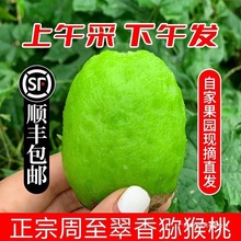 ���������Ʒ����J�������r�G�ı���������������ؼ�Ĭ�J�