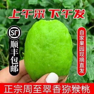 ���������Ʒ����J�������r�G�ı���������������ؼ�Ĭ�J�