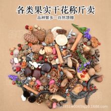 【果实按斤称】各种果实类装饰品干果植物果实DIY橡果批发按斤称