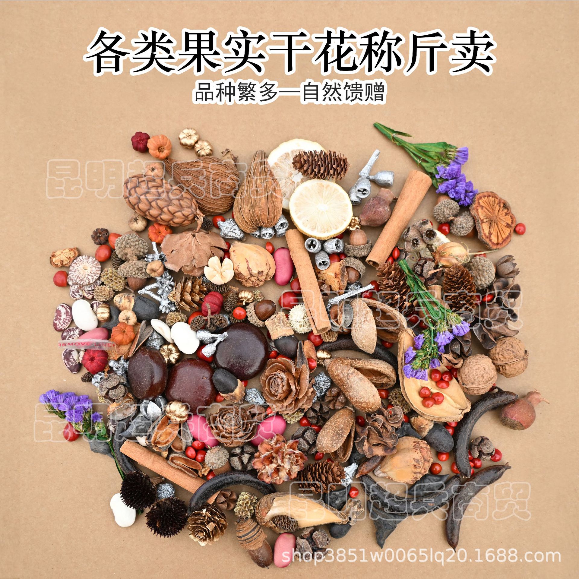 【果实按斤称】各种果实类装饰品干果植物果实DIY橡果批发按斤称