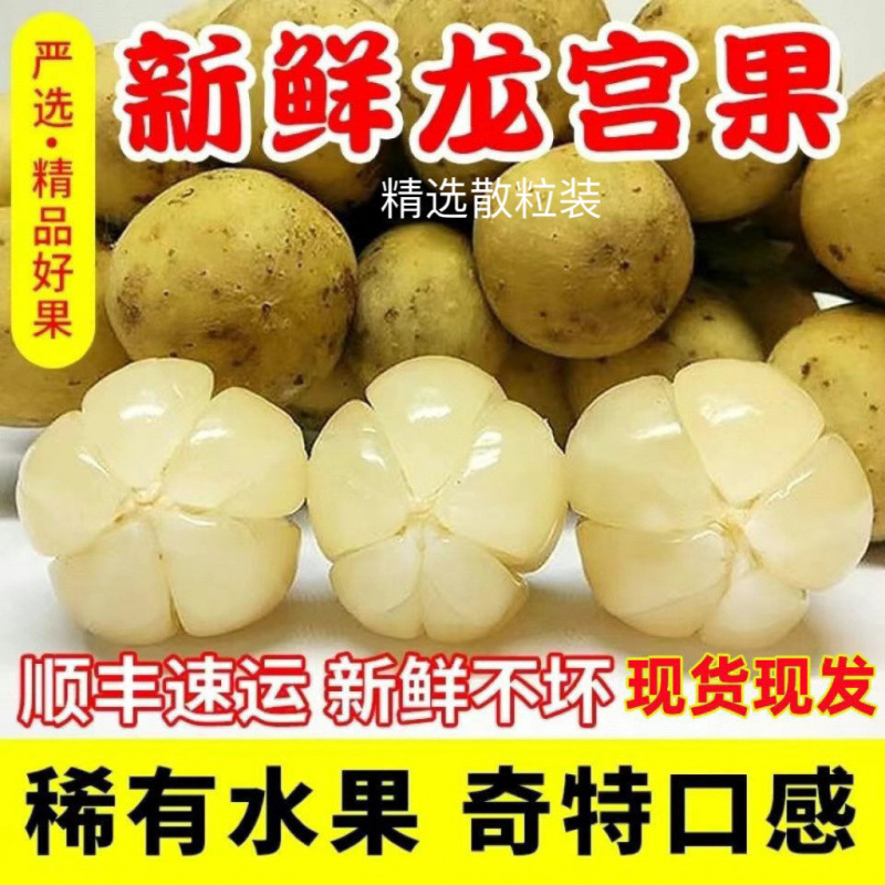 [SF Express] Thailand Long Gong Fruit Imported Fresh Fruit Seasonal Tropical Fruit Long Gong Love Fruit Free Shipping