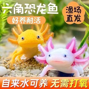 ���ǿ���ϔ󢌙�����~��ˮ��ˮ�\���^�p�~���~��ˮ�~������B����