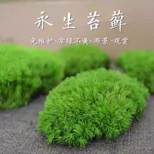 ����̦�\ֲ� �װl�\ֲ���\�ɻ���ƺƤ�����\����\��������̦