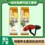 新资源定制养生黑麦挂面