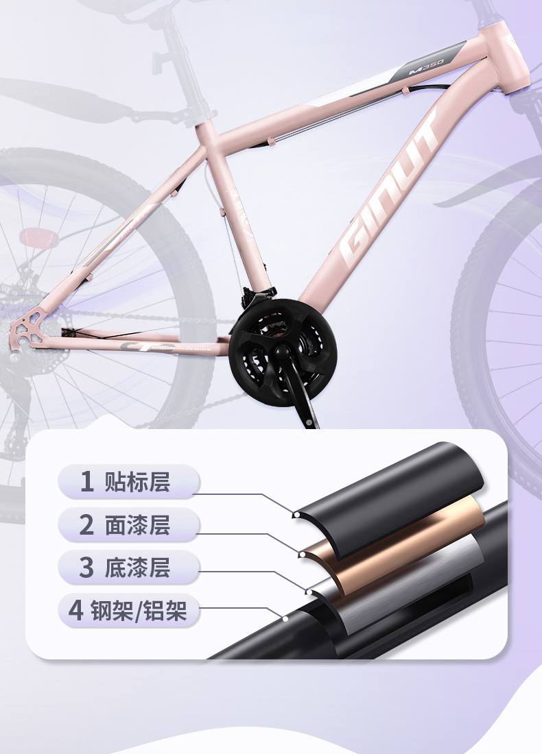 2716f7af-e06b-4d85-9c35-25dc37ec0fe8.jpe