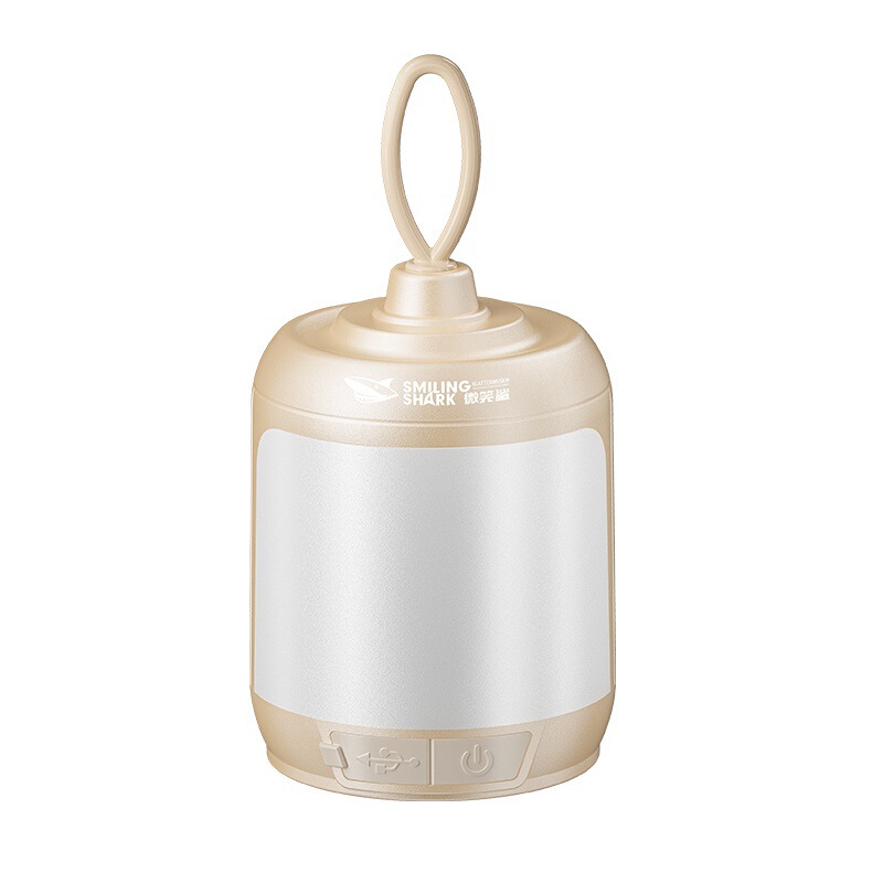 Warm White Dual-Light Portable Camping Lamp, Outdoor Camp Lamp, Large Floodlight for Stall Lighting with Hook Design