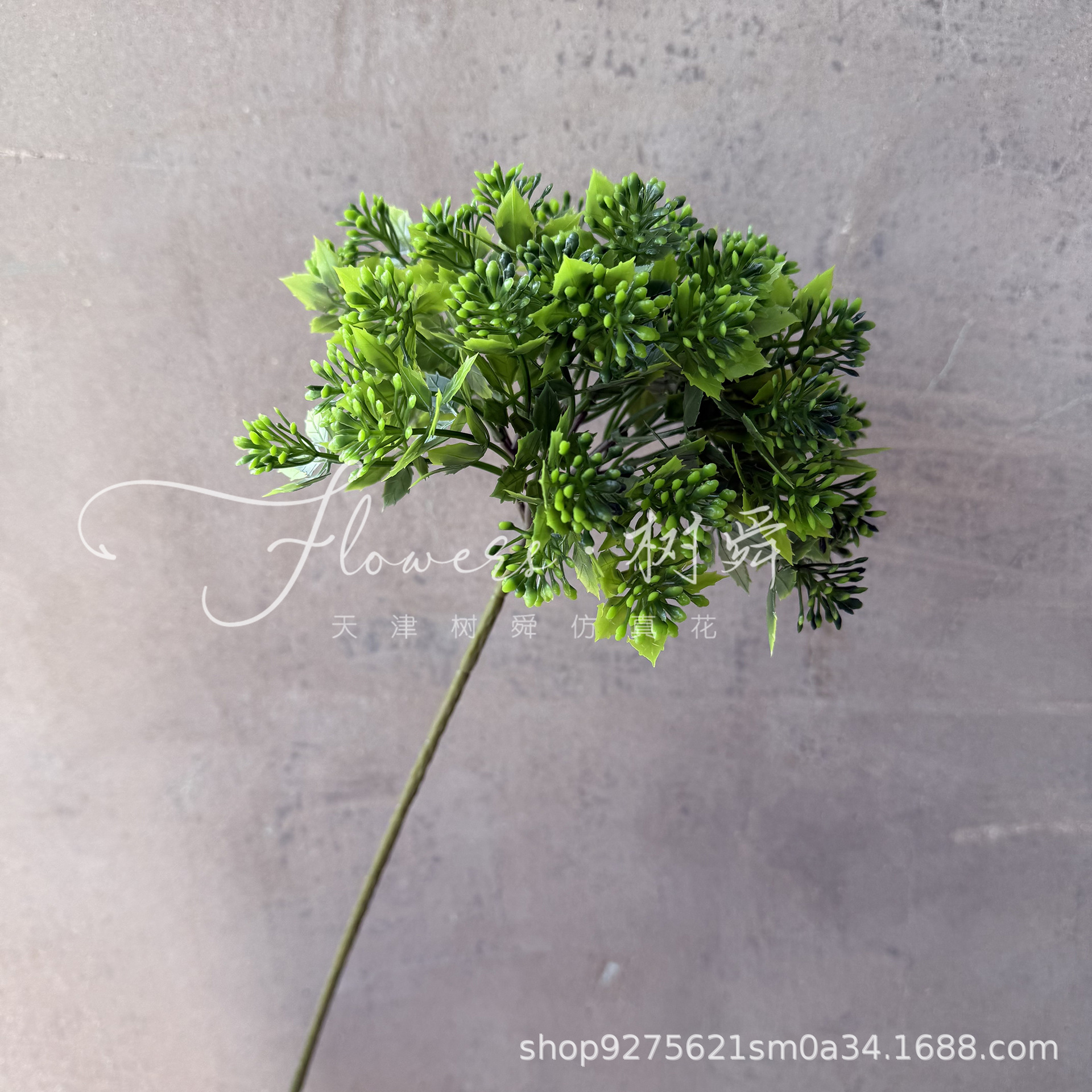 Cabeza única - Hortensia Pinesol