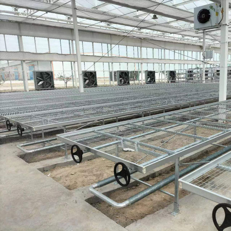 Tidal Seedbed Seedbed Mesh Greenhouse Flower Seedling Bed Soilless Hydroponic Seedling Planting Tidal Tray