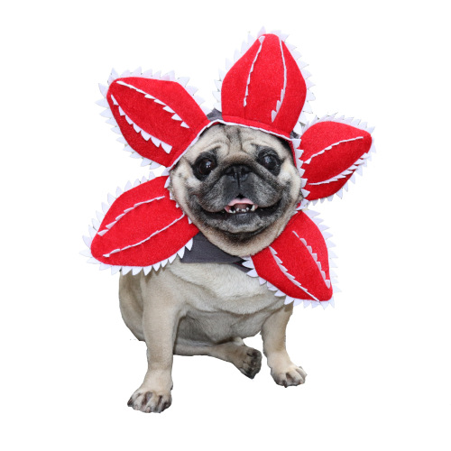 Dog and Cat Funny Carnivorous Flower Masks Halloween Pet Costumes Teddy Corgi British Short Hair Hats