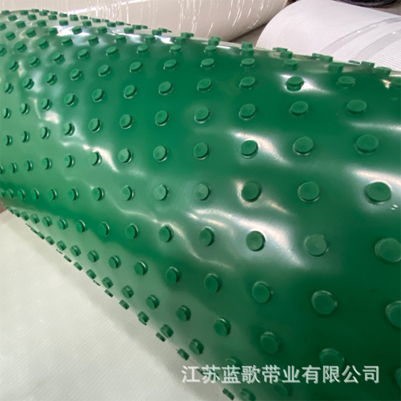 大圆点输送带1