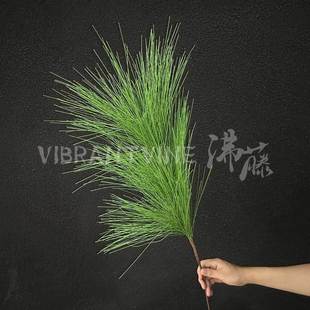 ����3���Rβ���Aɽ�ɾGֲ��ʽ��Yɭϵ�b�c�廨·���������