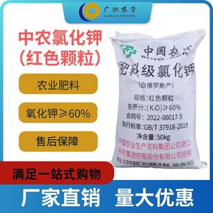 �V���ό��}��l؛ ���r�Ȼ�⛼t⛼tɫ�w�� ���M����������Ӯa��