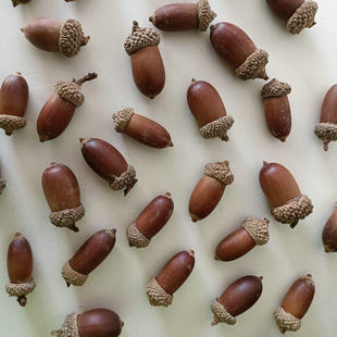 �������������������b��ֹ��ɻ������ˇ�ɻ��ɹ��廨����ñ