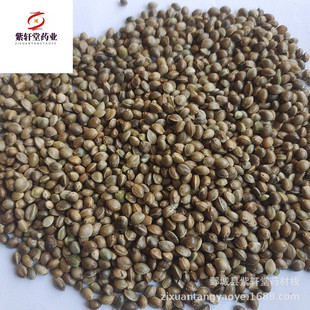 ����܎�á�������500g��؛��������ă������Ĕz��ș�����l������