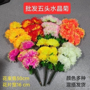 �������ω��õļٻ����滨���^������ˮ���ՏS�����l��֦�ω���Ĺ