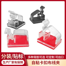 ���������A늾��̶������攵���������ռ{�W���߾���ճ���ž���