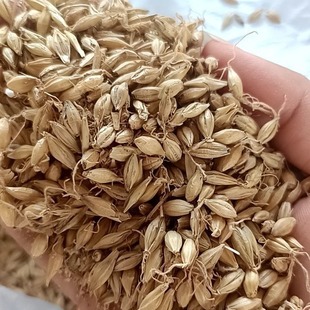 ���l�F؛��������ѿ��ѿ����ѿ����ѿ������С����С����С��