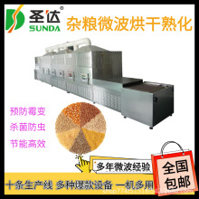 大豆熟化机大米小米预熟机五谷杂粮微波烘干设备防霉变灭虫卵