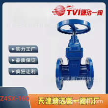 �������һ�y TVI���U���mܛ�ܷ��l�y Z45X-16Q��ī�T�F�l�y�÷�