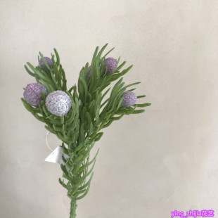 ����ɳ���� ɺ���� �Ϸǻ��ĸ����ϲ��ϔ[�Ż�ˇ���