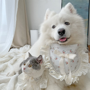 Pet Spring Outing Pet Parent-Child Outfit Original Saliva Towel Small, Medium and Large Dog Samoyed Golden Retriever Scarf Dog Accessories