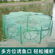 �¿��ۯB�~�\�\�������r�\�~�W�з�Ӻ��S�X�O�W���~�~�r���q���r