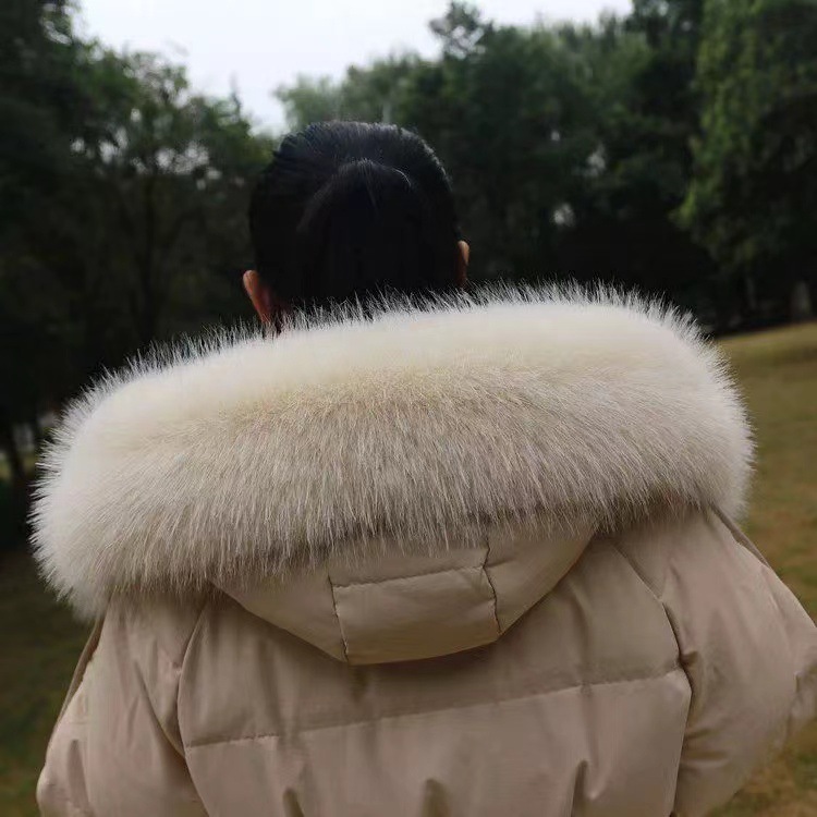 b2b83eead053db306c0fdf5d9231f7