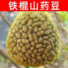 年糖葫芦2024铁棍山药豆新鲜豆新大号斤山药蛋3新鲜河南焦作山药5
