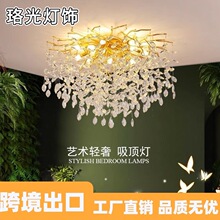 �羳�������A��֦��ˮ�������M�Ϸ�ʽ��ߴ����Ҙ�֦�����͏d����