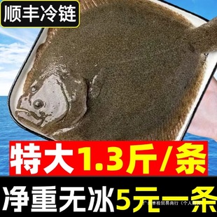 �����~���Ŀ�~�r���ك��ˌ��~ƫ���~�fƬ�~�l�~��~���rˮ�a