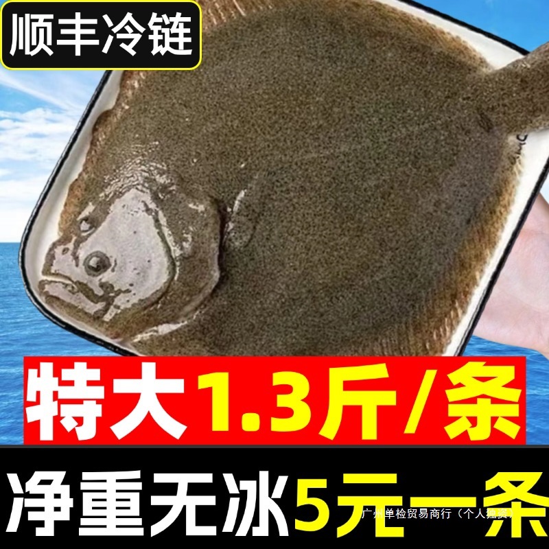 多宝鱼大比目鱼鲜活速冻八宝鱼偏口鱼鸦片鱼鲽鱼深海鱼海鲜水产