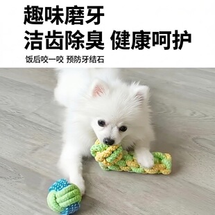 ���������ҧ�d�K����̩�Ϲ��»�ĥ����ҧ���X��С��Ȯ����Ӗ��