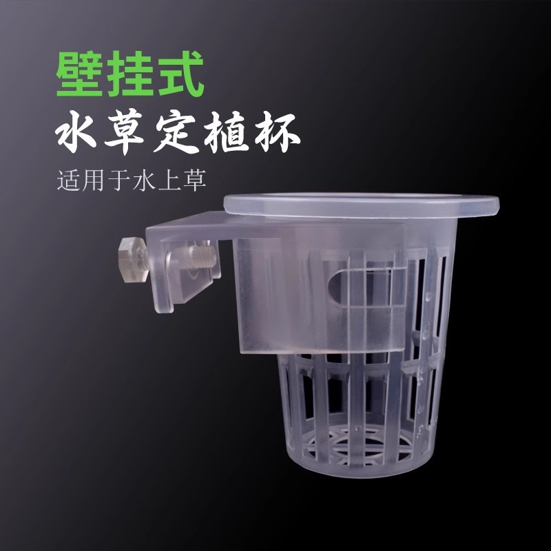 Shunsaku Katsura pothos planting cup aquatic plant cup water garden wall-mounted planting basket fish tank decoration landscape accessory