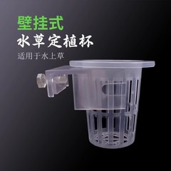 Shunsaku Katsura pothos planting cup aquatic plant cup water garden wall-mounted planting basket fish tank decoration landscape accessory