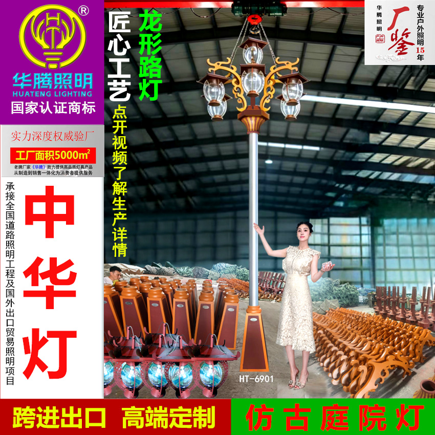 定制中华灯户外防水公园仿古庭院灯中式庭院景观灯市政龙形路灯