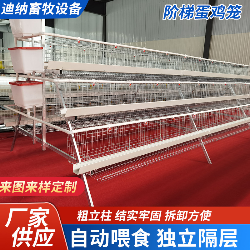 Jaula multicapa de cría automática completa de gallinas ponedoras de huevo rodante tipo escalón automático de doble lado de jaula doméstica de gallinas