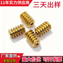 定制蜗杆厂家非标定制传动零部件蜗轮蜗杆减速机配件电机零件加工