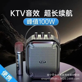 Teacher bang ST03 musical instrument erhu teacher portable loudspeaker square dance singing audio speaker with microphone