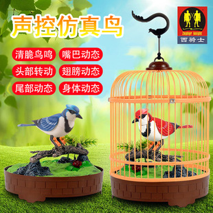 �羳�������B���B�\��ͯС�B���ӕ���늄��ظБ��B�냺������