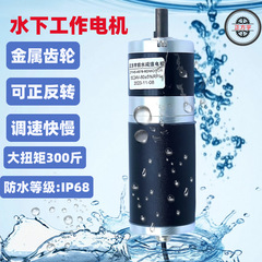 45惑星IP68防水モータ防塵防腐水中直流減速正逆転速度調整24vモータ