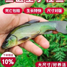 �����~�絭ˮ�Bֳʳ�ÚW�޴��F�~��~�q���B����~��ˮС�~��