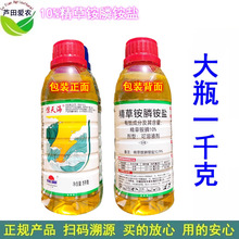 1kg @캣10%@@}ݰ׾ݰ׾@@}݄